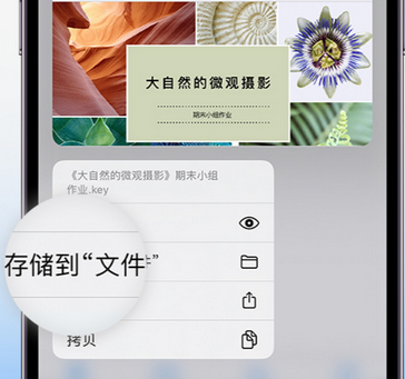 新邱apple维修中心分享iPhone文件应用中存储和找到下载文件