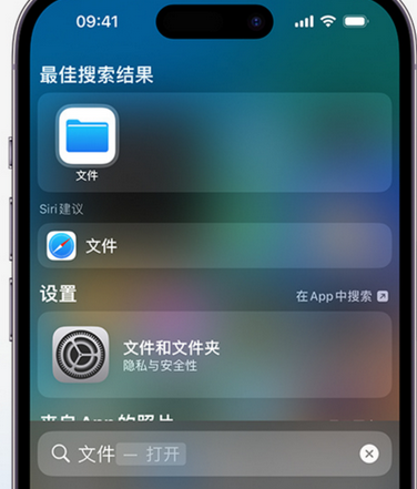 新邱apple维修中心分享iPhone文件应用中存储和找到下载文件