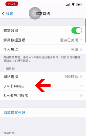 新邱苹果14维修网分享如何给iPhone14的SIM卡设置密码 