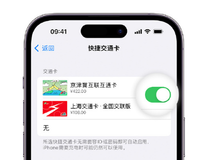 新邱apple维修点分享iPhone上更换Apple Pay快捷交通卡手绘卡面 