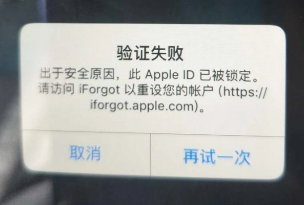 新邱iPhone维修分享iPhone上正常登录或使用AppleID怎么办 