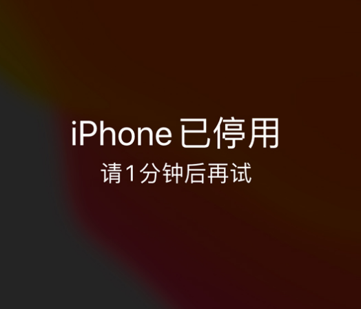 新邱苹果手机维修分享:iPhone 显示“不可用”或“已停用”怎么办？还能保留数据吗？ 