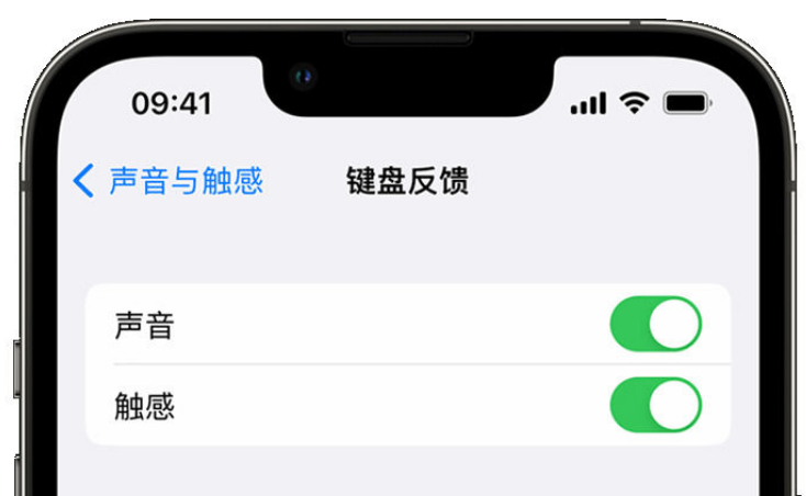 新邱苹果手机维修分享iPhone 14触感键盘使用方法 