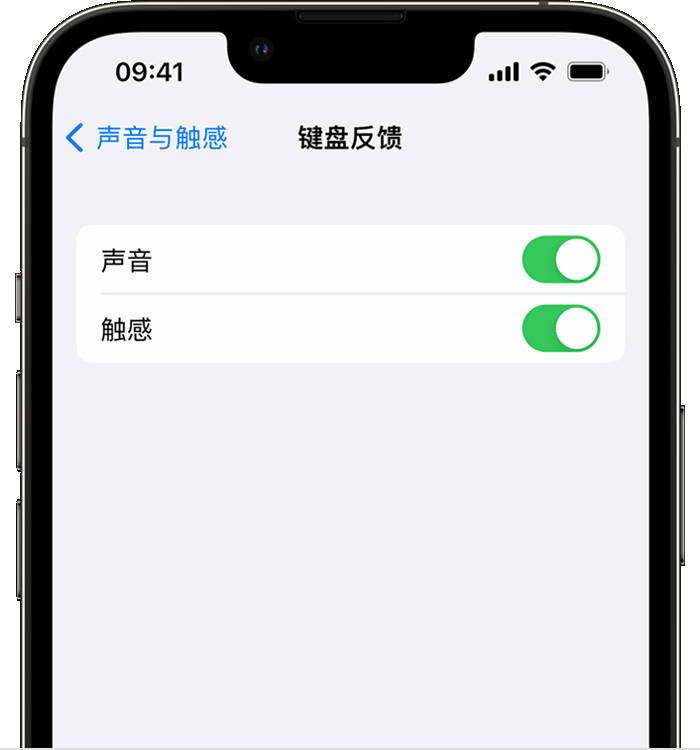 新邱苹果14维修店分享如何在 iPhone 14 机型中使用触感键盘 