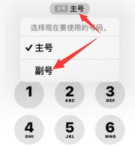 新邱苹果14维修店分享iPhone 14 Pro Max使用副卡打电话的方法 