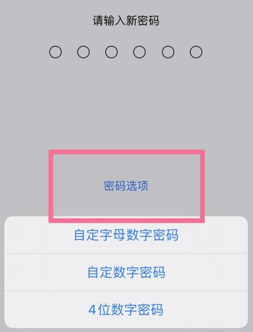 新邱苹果14维修分享iPhone 14plus设置密码的方法 