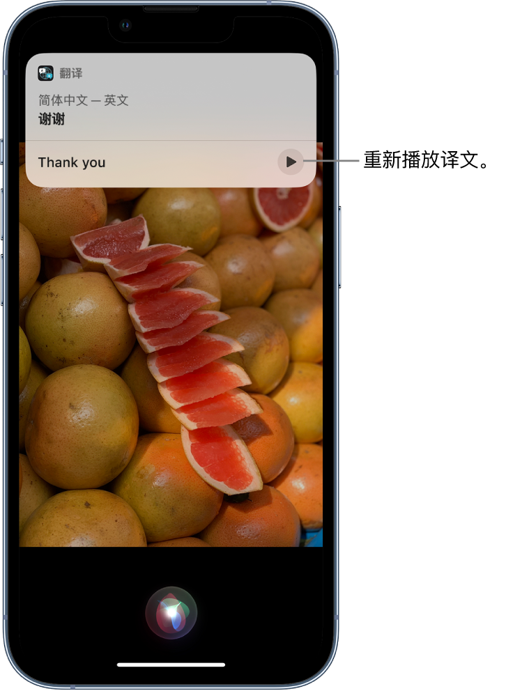 新邱苹果14维修分享 iPhone 14 机型中使用 Siri：了解 Siri 能帮你做什么 