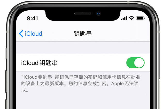 新邱苹果手机维修分享在 iPhone 上开启 iCloud 钥匙串之后会储存哪些信息 