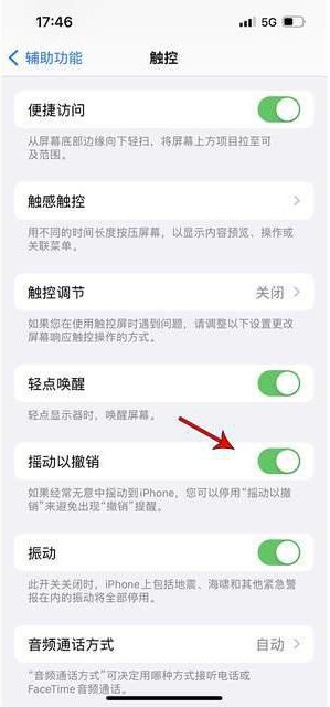 新邱苹果手机维修分享iPhone手机如何设置摇一摇删除文字 